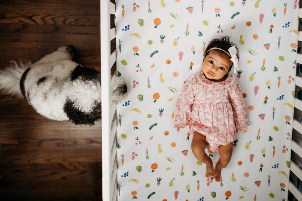 Newborn in her crib looking at photographer. The dog watches the baby get her pictures taken.