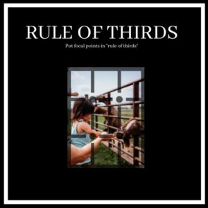 Infographic geared towards new beginner photographers demonstrating the rule of thirds