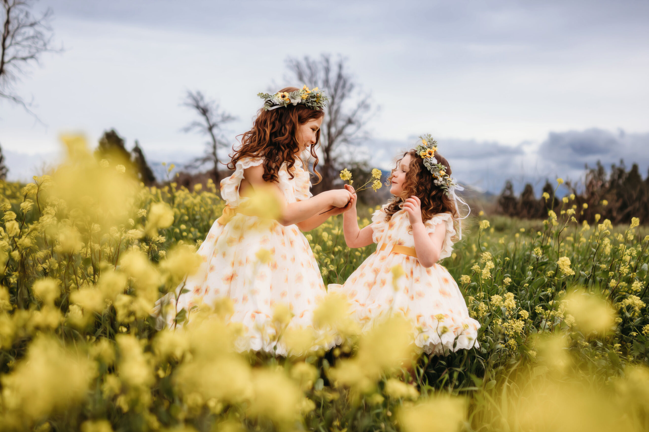 a girl puts yellow mustard flowers in her sisters hair. they are in a huge field of wildflowers