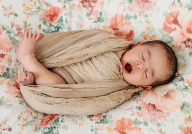 Swaddled newborn studio portrait. Baby is yawning and you can see her tiny toes