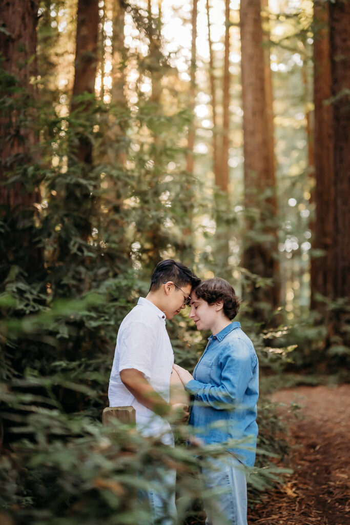 expecting mamas looking at belly nestled in the redwoods