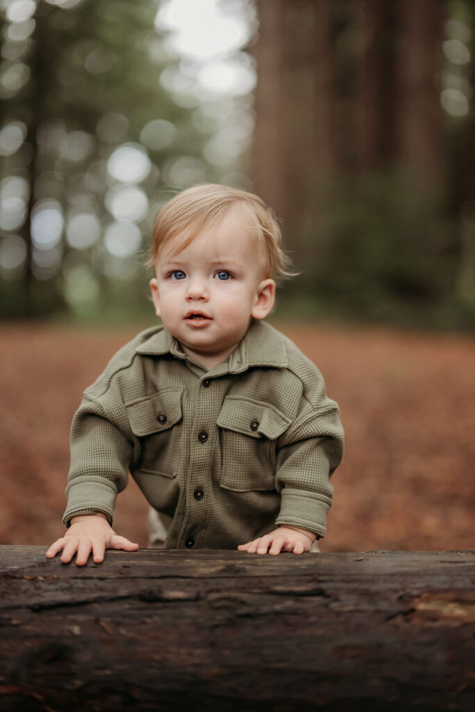 1 year old boy balances against a redwood log looking towards camera