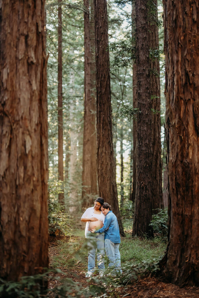 2 women embrace while looking down at one of their pregnant bellys. they look small against the towering redwood forests in the east bay area