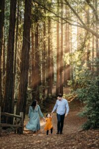 sun rays filter through redwood trees as a family walks below